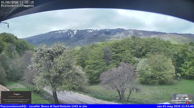 immagine della webcam nei dintorni di Bisegna: webcam Rocca Pia