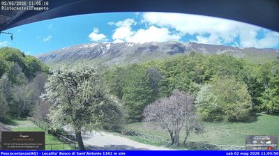 immagine della webcam nei dintorni di Acquaviva d'Isernia: webcam Rocca Pia