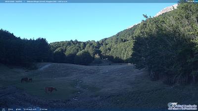 immagine della webcam nei dintorni di Marsico Nuovo: webcam Sanza