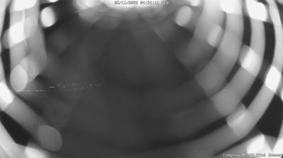 immagine della webcam nei dintorni di Bellano: webcam Domaso