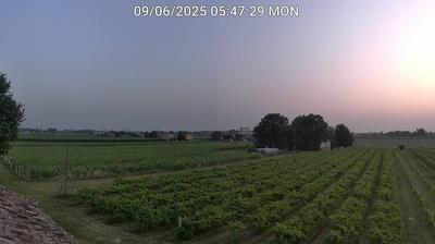 Preview delle webcam di Bagnacavallo