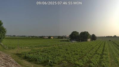 immagine della webcam nei dintorni di Riolo Terme: webcam Bagnacavallo