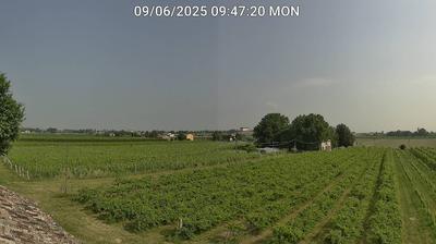 immagine della webcam nei dintorni di Porto Garibaldi: webcam Bagnacavallo
