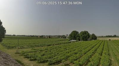 immagine della webcam nei dintorni di Modigliana: webcam Bagnacavallo