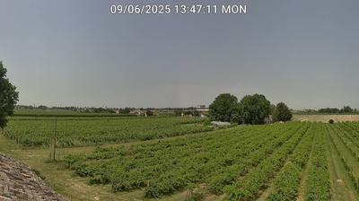 immagine della webcam nei dintorni di Villafranca di Forlì: webcam Bagnacavallo