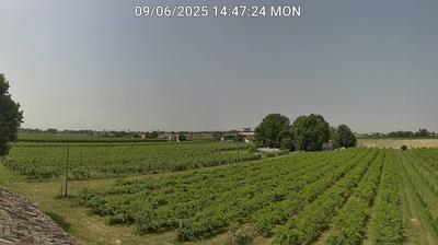 immagine della webcam nei dintorni di Lido di Spina: webcam Bagnacavallo