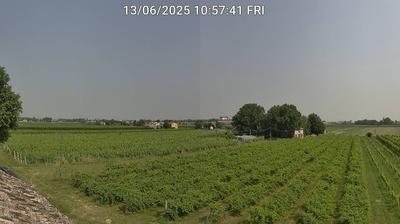 immagine della webcam nei dintorni di Castrocaro Terme e Terra del Sole: webcam Bagnacavallo