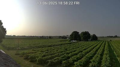 immagine della webcam nei dintorni di Castrocaro Terme e Terra del Sole: webcam Bagnacavallo