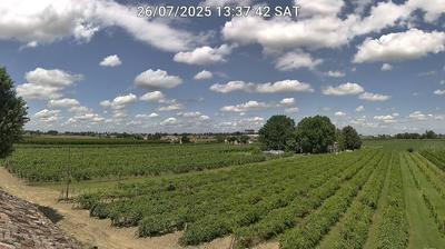 Preview delle webcam di Bagnacavallo