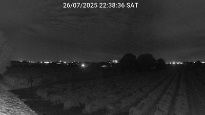 immagine della webcam nei dintorni di Porto Garibaldi: webcam Bagnacavallo