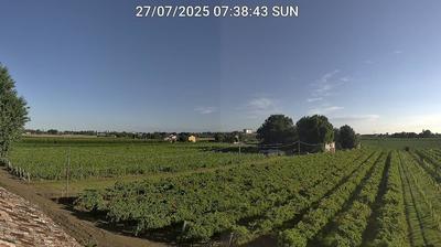 immagine della webcam nei dintorni di Medicina: webcam Bagnacavallo