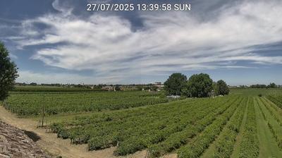 immagine della webcam nei dintorni di Riolo Terme: webcam Bagnacavallo