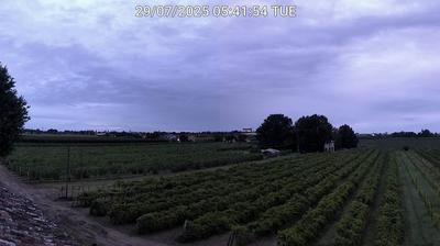 immagine della webcam nei dintorni di Lido di Spina: webcam Bagnacavallo