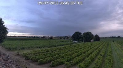 immagine della webcam nei dintorni di Villafranca di Forlì: webcam Bagnacavallo