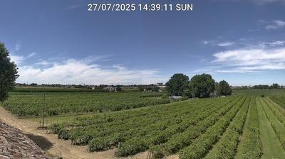 immagine della webcam nei dintorni di Forlì: webcam Bagnacavallo