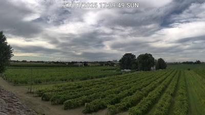 immagine della webcam nei dintorni di Punta Marina: webcam Bagnacavallo