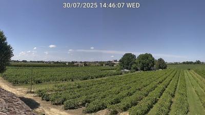 immagine della webcam nei dintorni di Villafranca di Forlì: webcam Bagnacavallo