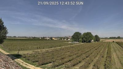 immagine della webcam nei dintorni di Alfonsine: webcam Bagnacavallo