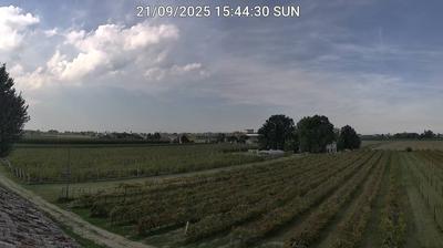 immagine della webcam nei dintorni di Ravenna: webcam Bagnacavallo