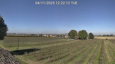 immagine della webcam nei dintorni di Forlì: webcam Bagnacavallo