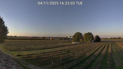 immagine della webcam nei dintorni di Forlì: webcam Bagnacavallo