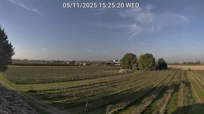 immagine della webcam nei dintorni di Porto Garibaldi: webcam Bagnacavallo