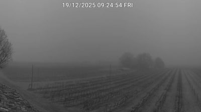 immagine della webcam nei dintorni di Longastrino: webcam Bagnacavallo