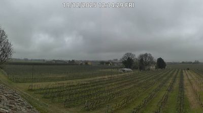 immagine della webcam nei dintorni di Casola Valsenio: webcam Bagnacavallo