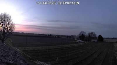 immagine della webcam nei dintorni di Marina Romea: webcam Bagnacavallo