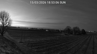 immagine della webcam nei dintorni di Punta Marina: webcam Bagnacavallo