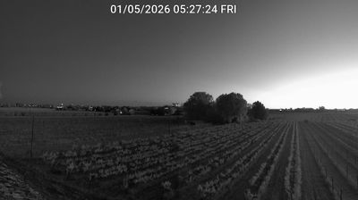 immagine della webcam nei dintorni di Modigliana: webcam Bagnacavallo