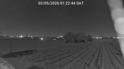 Preview delle webcam di Bagnacavallo