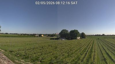 immagine della webcam nei dintorni di Forlì: webcam Bagnacavallo