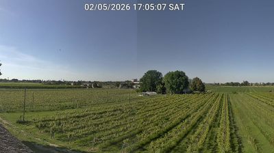 immagine della webcam nei dintorni di Porto Garibaldi: webcam Bagnacavallo