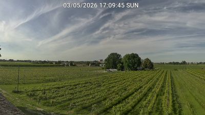 immagine della webcam nei dintorni di Forlì: webcam Bagnacavallo