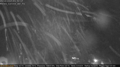 immagine della webcam nei dintorni di Grugliasco: webcam Rivalba