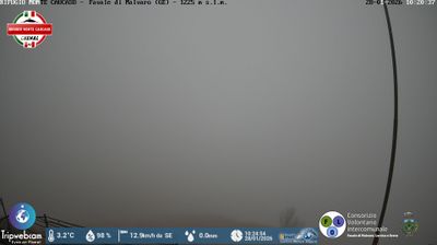 immagine della webcam nei dintorni di Zoagli: webcam Favale di Malvaro