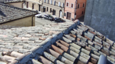 immagine della webcam nei dintorni di Ponte Sasso: webcam Ostra Vetere