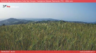 immagine della webcam nei dintorni di Roseto degli Abruzzi: webcam Castiglione Messer Raimondo