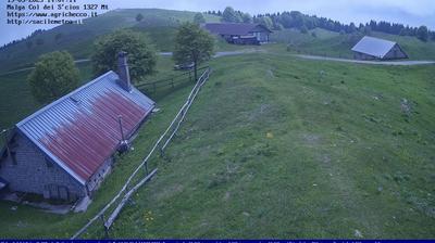 Preview delle webcam di Alpago: Pian del Cansiglio