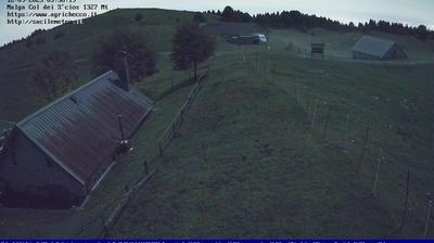 immagine della webcam nei dintorni di Andreis: webcam Pian del Cansiglio