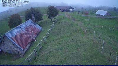 immagine della webcam nei dintorni di Santa Croce: webcam Pian del Cansiglio