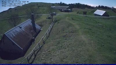 immagine della webcam nei dintorni di Limana: webcam Pian del Cansiglio