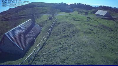 immagine della webcam nei dintorni di Piancavallo: webcam Pian del Cansiglio