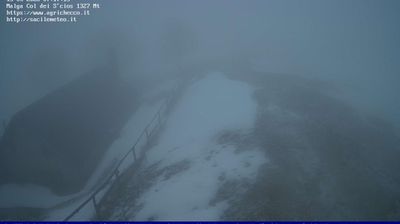 immagine della webcam nei dintorni di Belluno: webcam Pian del Cansiglio