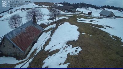 immagine della webcam nei dintorni di Nevegal: webcam Pian del Cansiglio