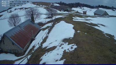 immagine della webcam nei dintorni di Andreis: webcam Pian del Cansiglio