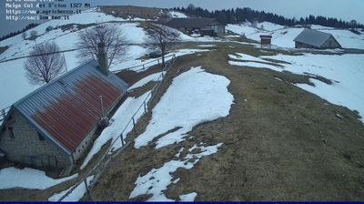 immagine della webcam nei dintorni di San Pietro di Feletto: webcam Pian del Cansiglio