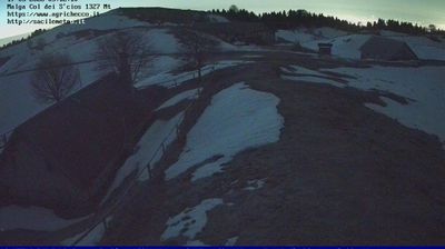 immagine della webcam nei dintorni di Limana: webcam Pian del Cansiglio