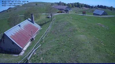 immagine della webcam nei dintorni di Vittorio Veneto: webcam Pian del Cansiglio